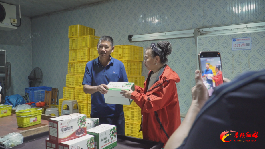 花海渔歌・茶陵寻鲜——“主播下乡团”公益助农活动举行