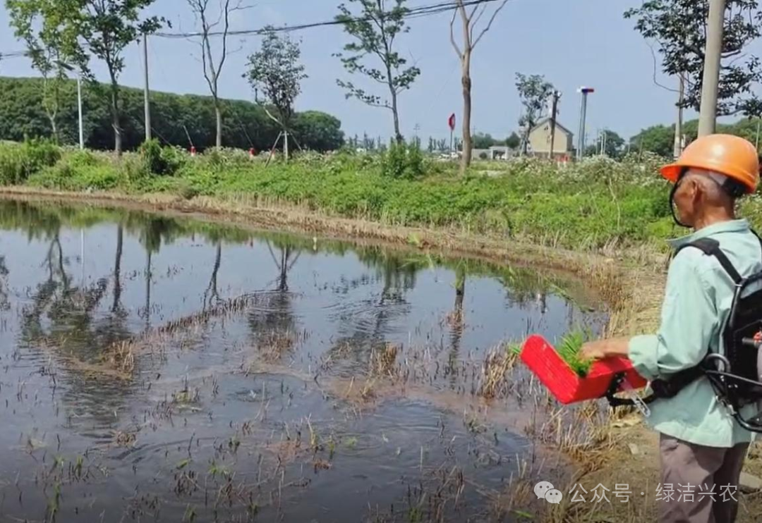 从"一把火"到"一座宝库"：揭秘秸秆的综合利用之路