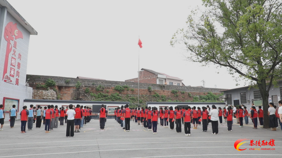 茶陵两校参加株洲六校联动“同升一面国旗”主题教育活动