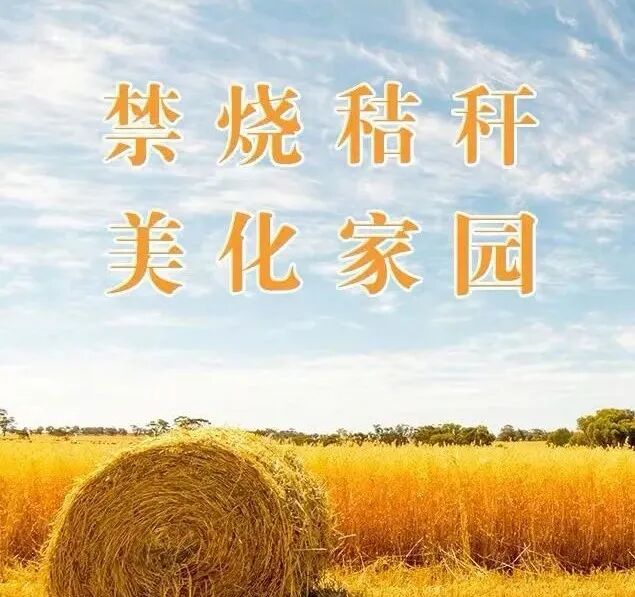 秸秆不仅烧不得，还能这样利用......