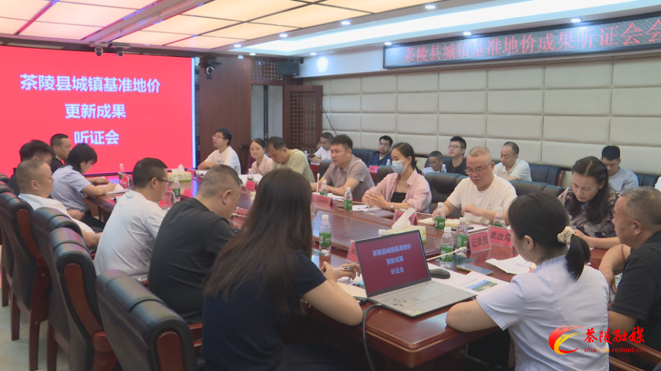 茶陵县城镇基准地价成果听证会召开