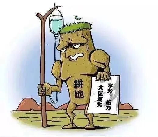 "秸"锁蓝天 "杆"走污染