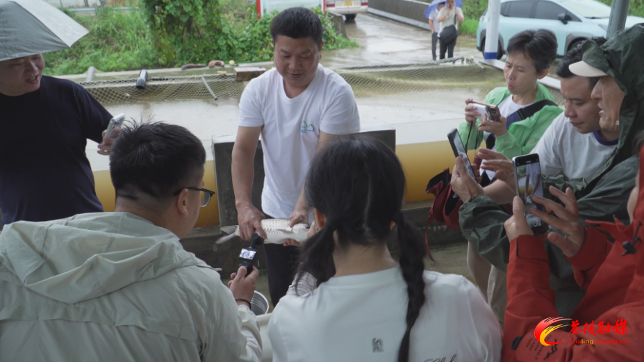 花海渔歌・茶陵寻鲜——“主播下乡团”公益助农活动举行