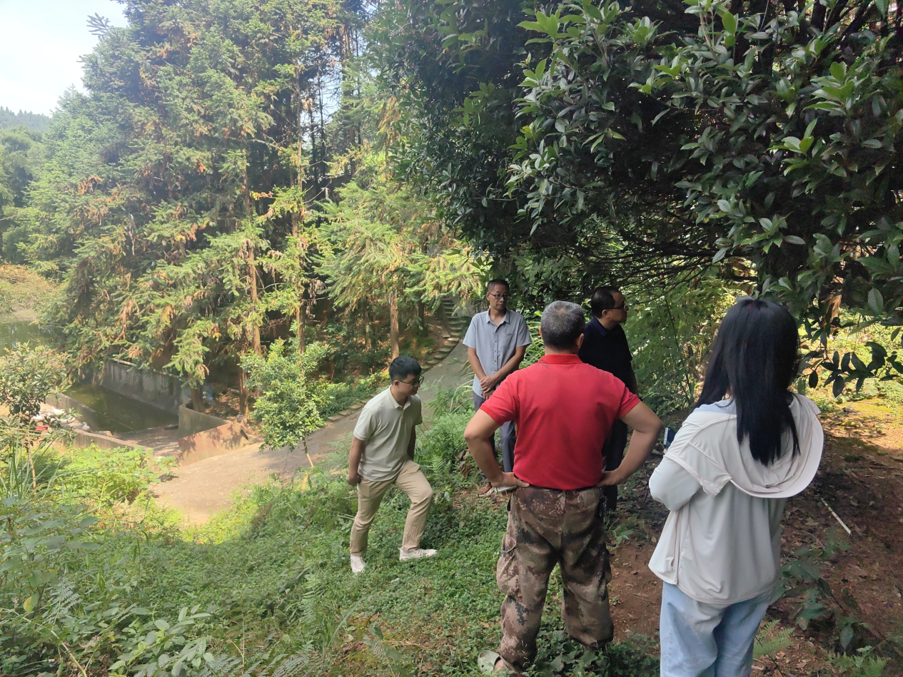 炎陵县多措并举抓实秸秆禁烧 筑牢大气污染防治防线