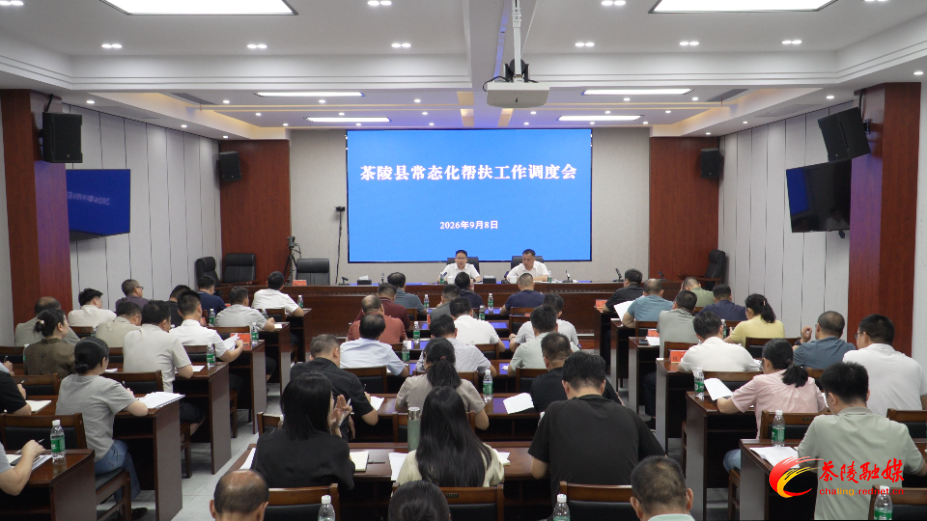 茶陵县常态化帮扶工作调度会召开