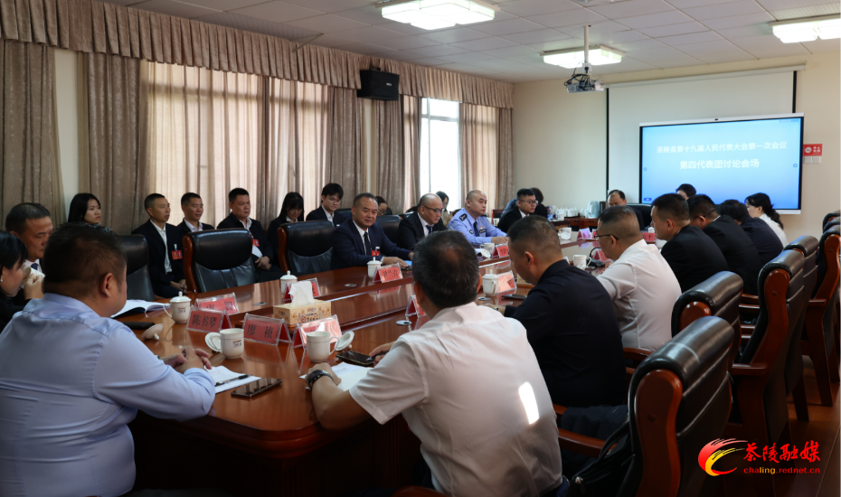 茶陵县第十九届人民代表大会第一次会议：各代表团继续开展分团讨论 杨红兵、朱毅强、王玉军、马文平、何文龙、李甜甜等领导参加