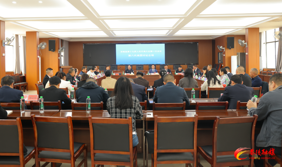 茶陵县第十九届人民代表大会第一次会议：各代表团继续开展分团讨论 杨红兵、朱毅强、王玉军、马文平、何文龙、李甜甜等领导参加