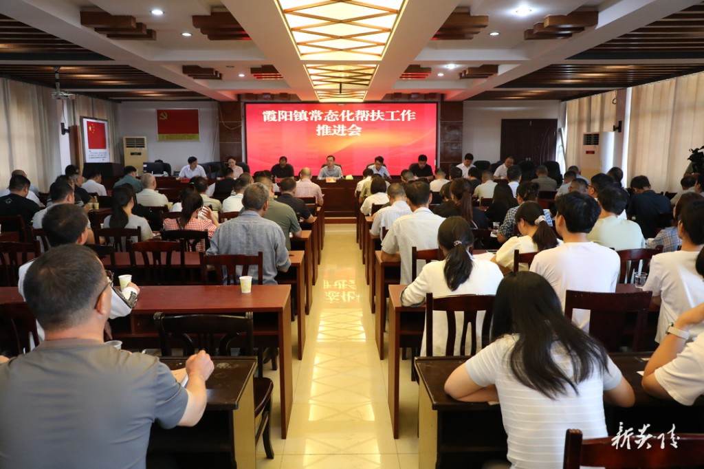 霞阳镇常态化帮扶工作推进会召开 夏胜利参加
