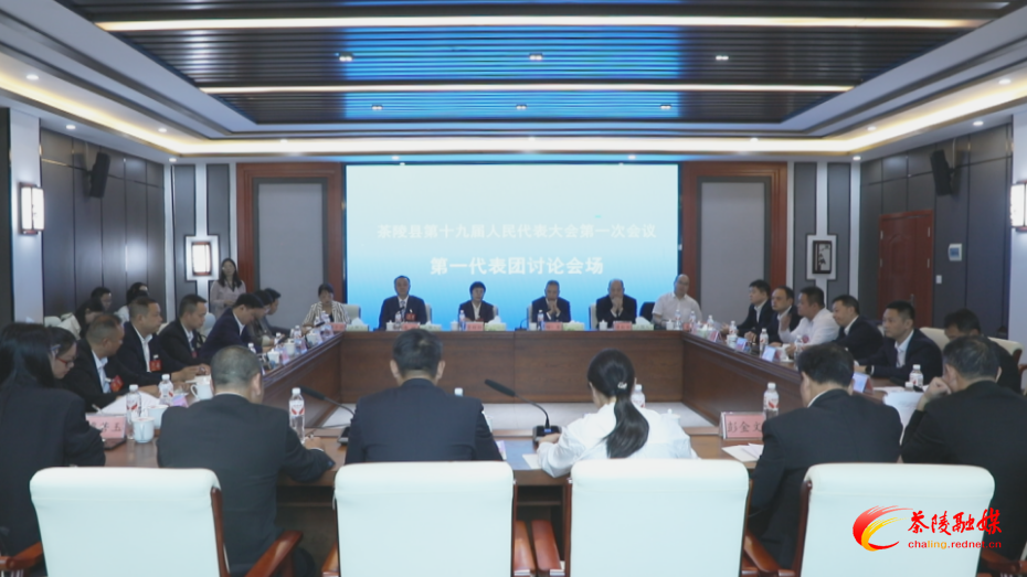 茶陵县第十九届人民代表大会第一次会议：各代表团继续开展分团讨论 杨红兵、朱毅强、王玉军、马文平、何文龙、李甜甜等领导参加