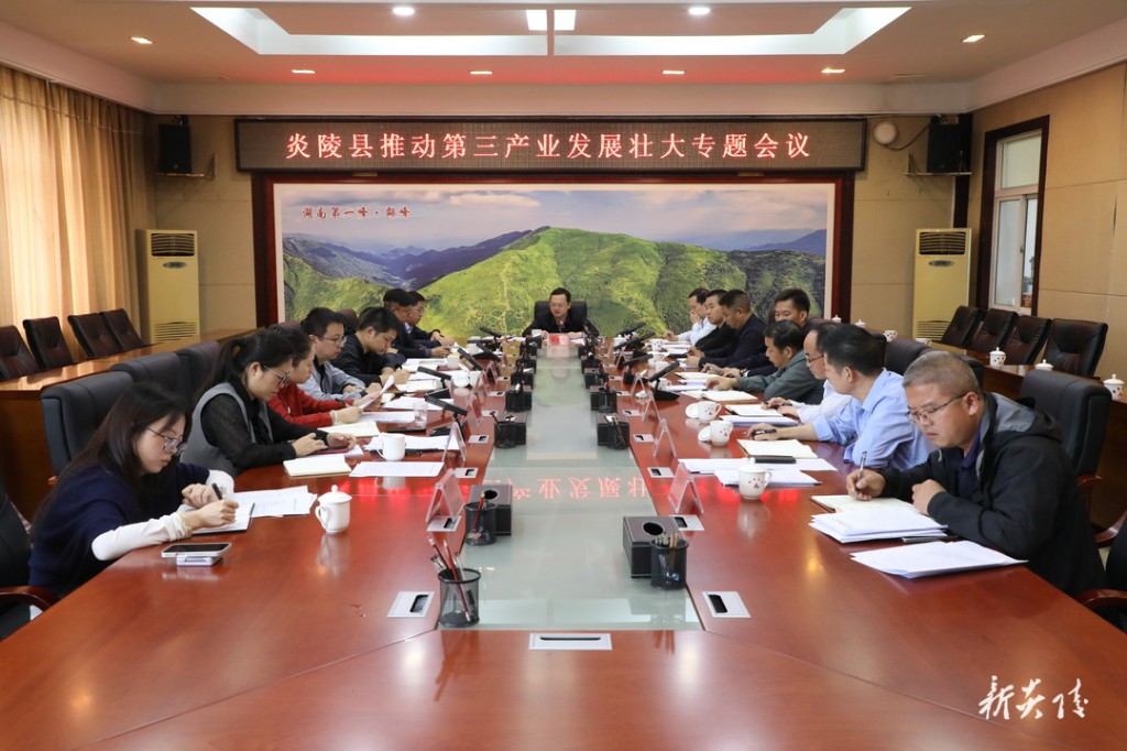 夏胜利主持召开炎陵县推动第三产业发展壮大专题会议