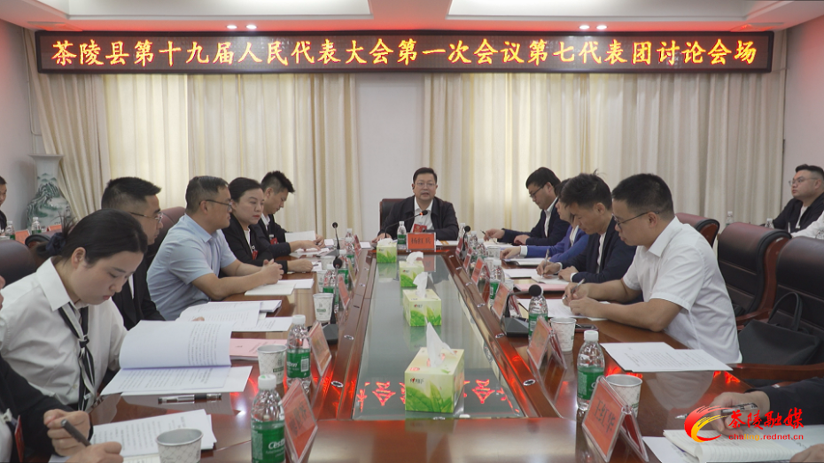 茶陵县第十九届人民代表大会第一次会议：各代表团继续开展分团讨论 杨红兵、朱毅强、王玉军、马文平、何文龙、李甜甜等领导参加