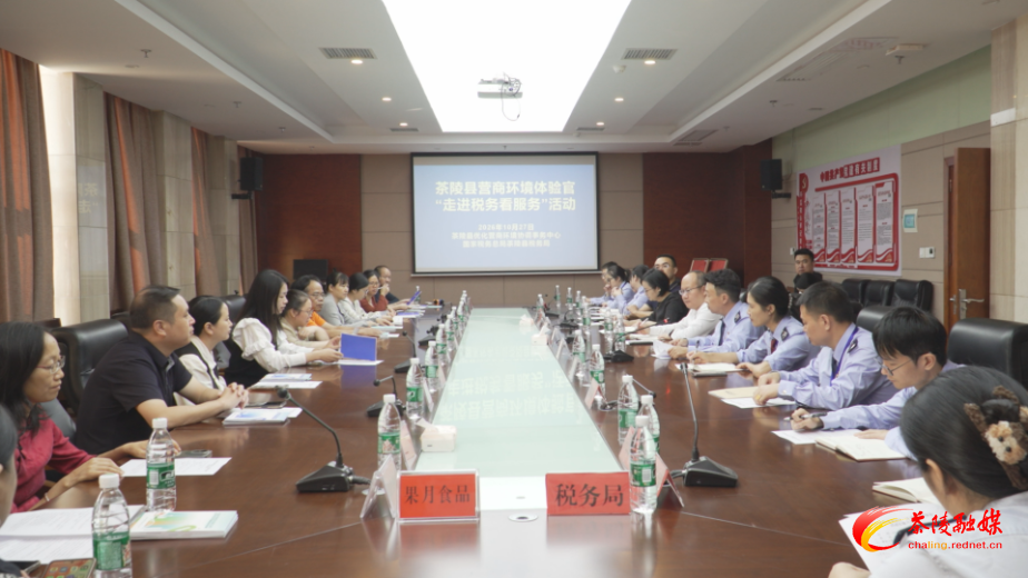 茶陵：体验官“探班”税务窗口 为营商环境提质建言