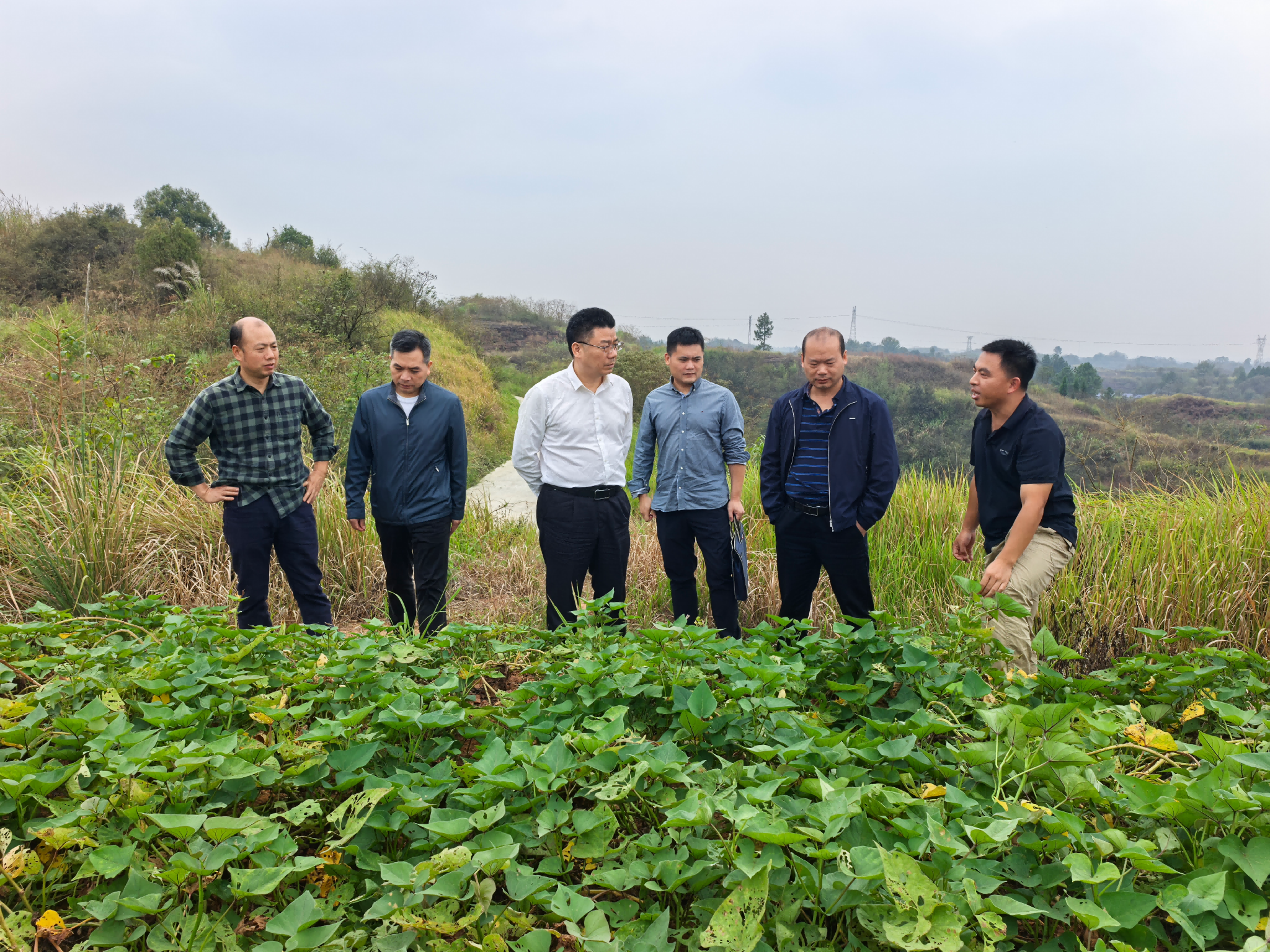 市供销社党组书记、理事会主任彭小中赴竹丰社区调研指导乡村振兴帮扶工作