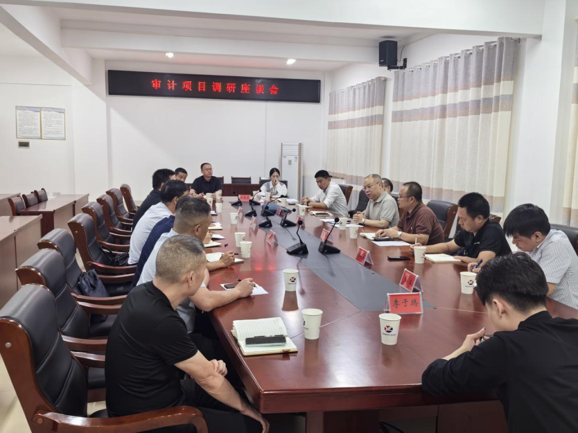王翔到炎陵高新区经济责任审计项目组开展调研