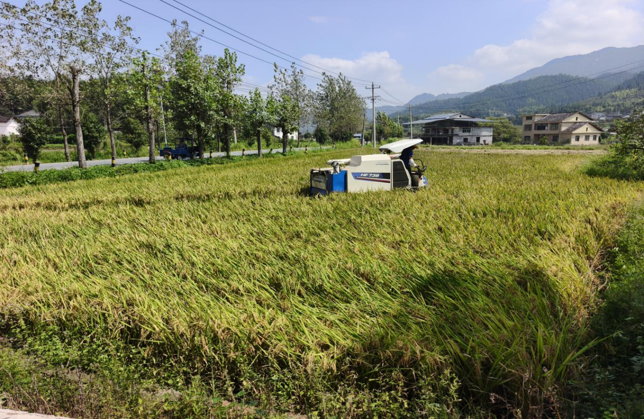 炎陵水口：推广秸秆综合利用 助力生态环境改善