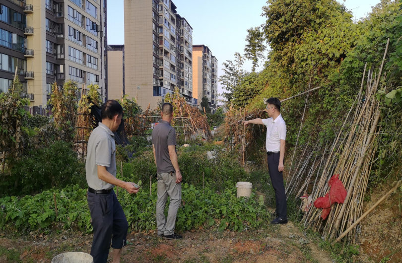 筑牢全域生态防控网——阳三石街道联合醴陵分局抓实秸秆禁烧