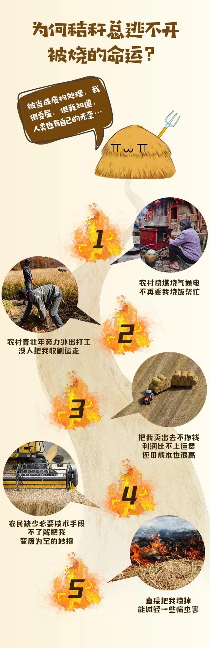 "秸"尽全力  筑牢禁烧"防火墙"