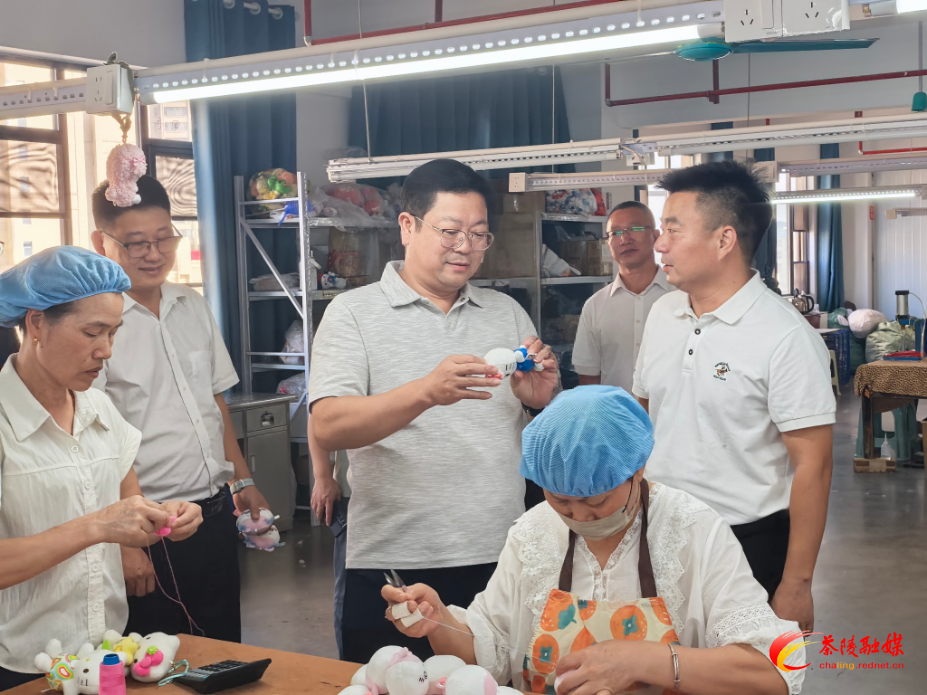 杨红兵调研“四上”企业培育工作