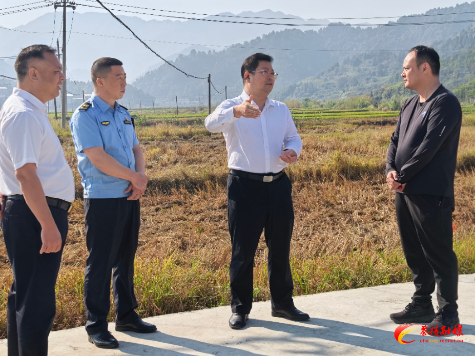 杨红兵督导秸秆禁烧管控和综合利用工作 强调:坚持疏堵并举 抓好资源化利用