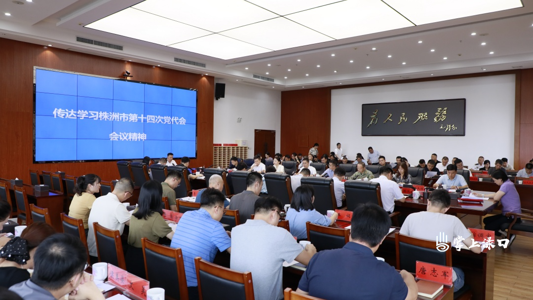 渌口区传达学习株洲市第十四次党代会精神