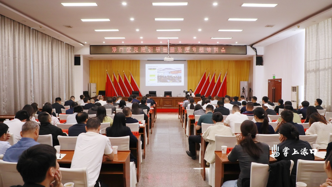 渌口区党建引领基层治理专题培训会举行