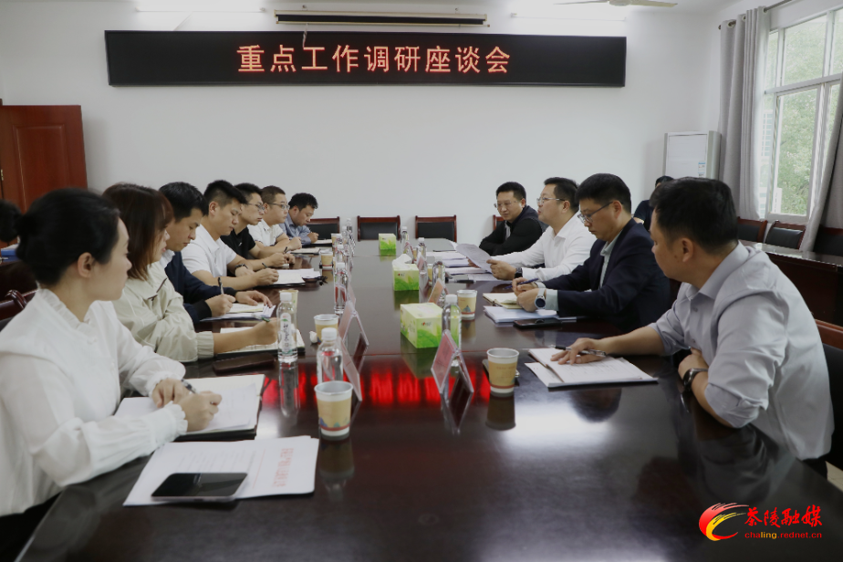 杨红兵到严塘镇调研重点工作