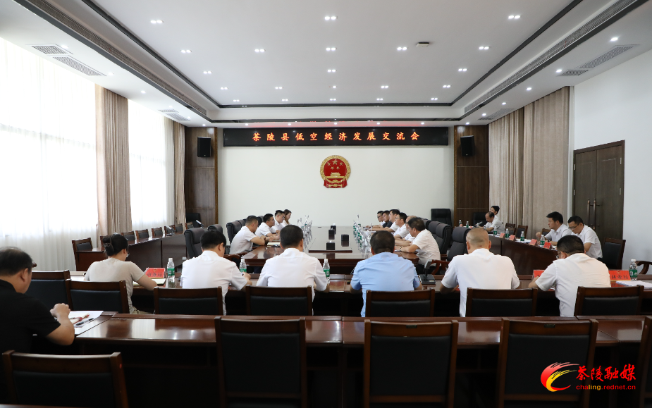 茶陵县低空经济发展交流会召开