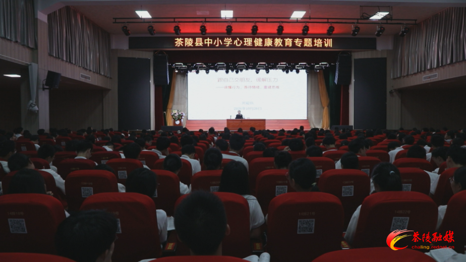 茶陵县开展中小学心理健康教育专题培训