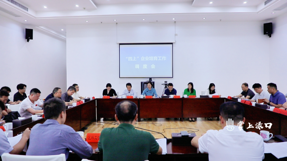 赖晓智主持召开“四上”企业培育工作调度会