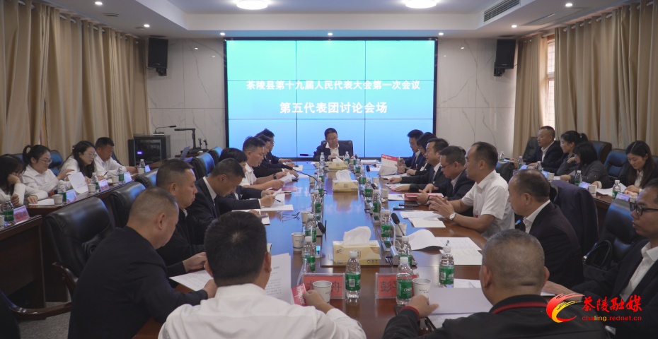 茶陵县第十九届人民代表大会第一次会议：各代表团继续开展分团讨论 杨红兵、朱毅强、王玉军、马文平、何文龙、李甜甜等领导参加